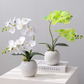 Topleo Chinese-style Phalaenopsis Fake Flowers