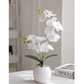 Topleo Chinese-style Phalaenopsis Fake Flowers