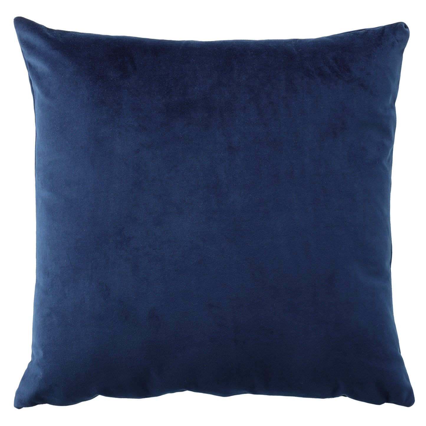 Vivid Velvet Cushion