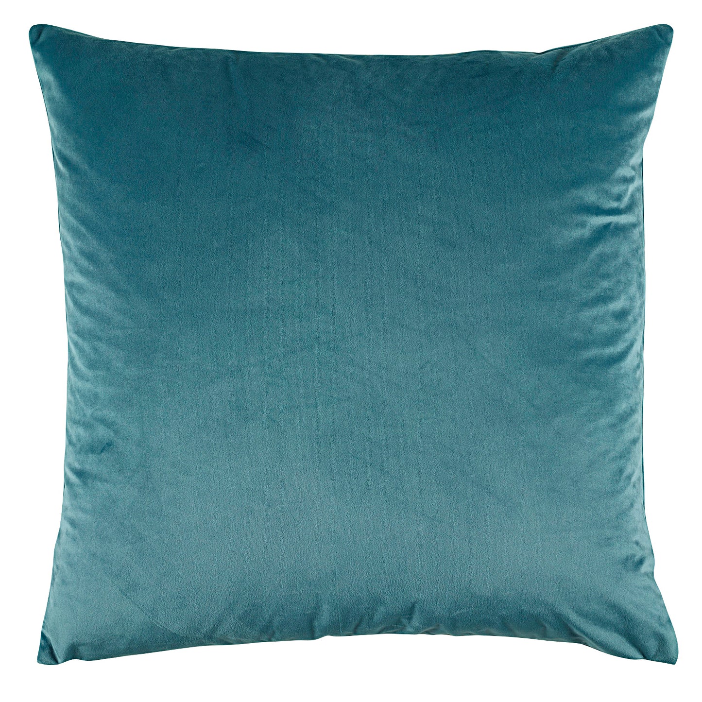 Vivid Velvet Cushion